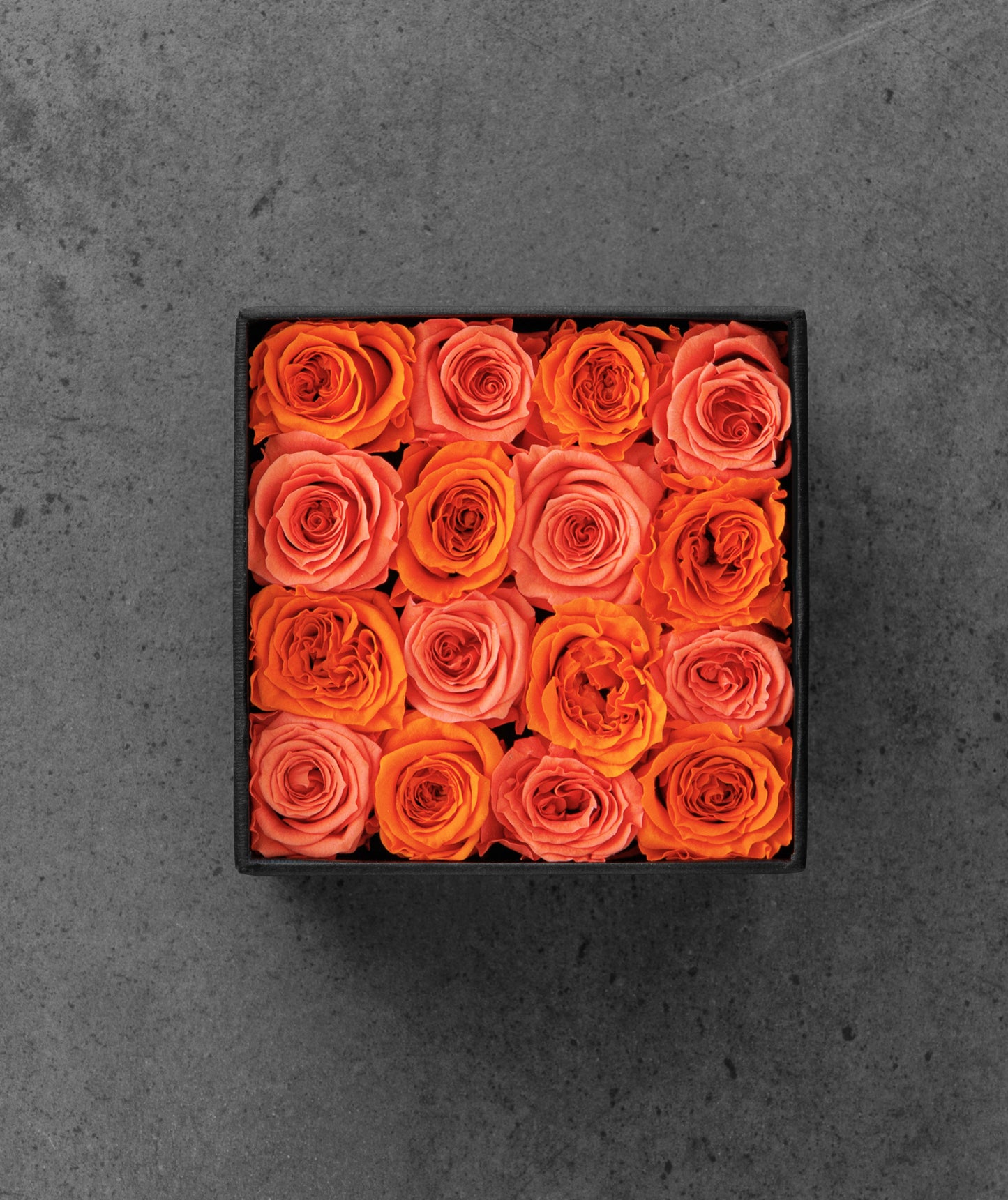 Orange Rose mix