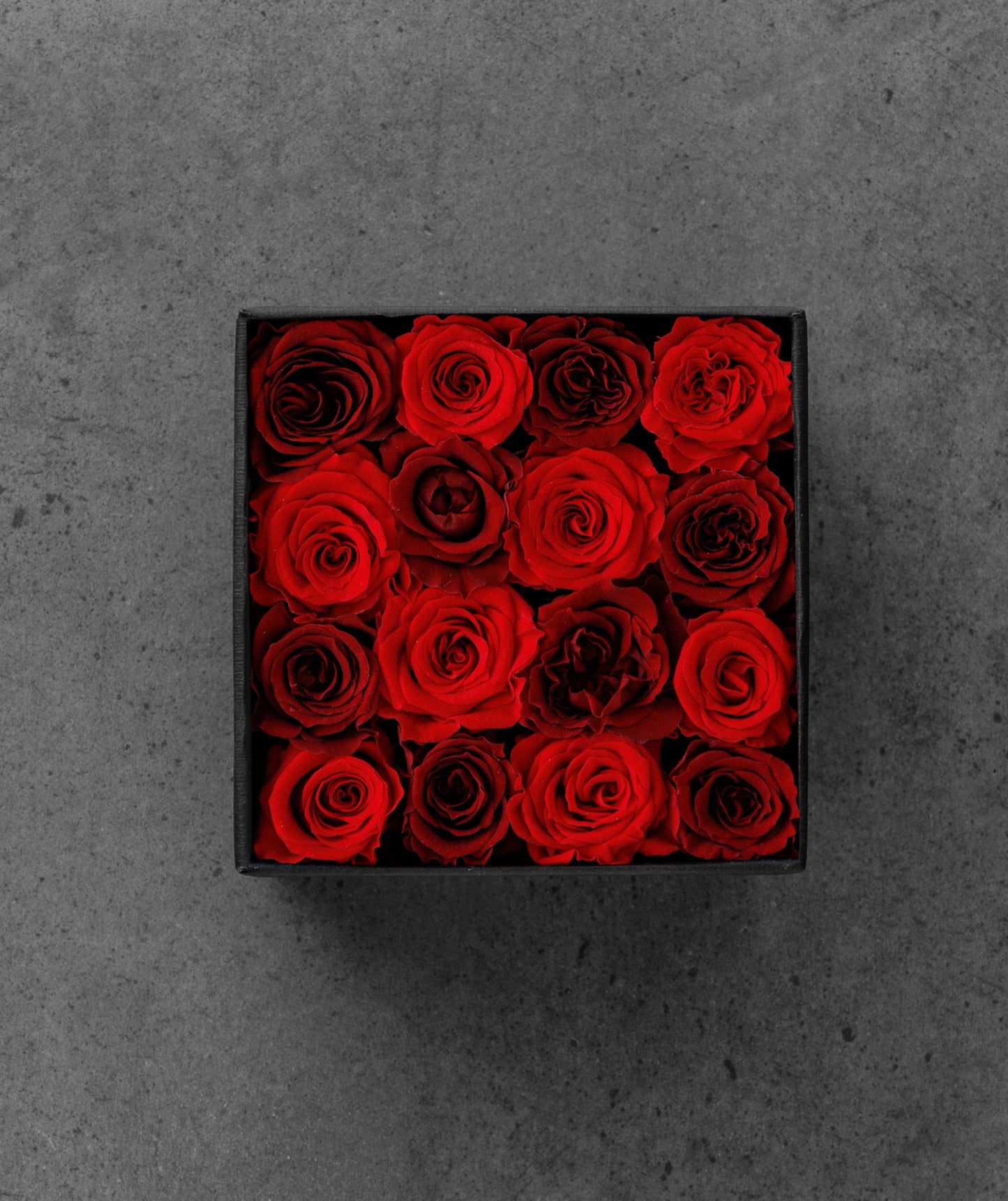 Red Rose Mix