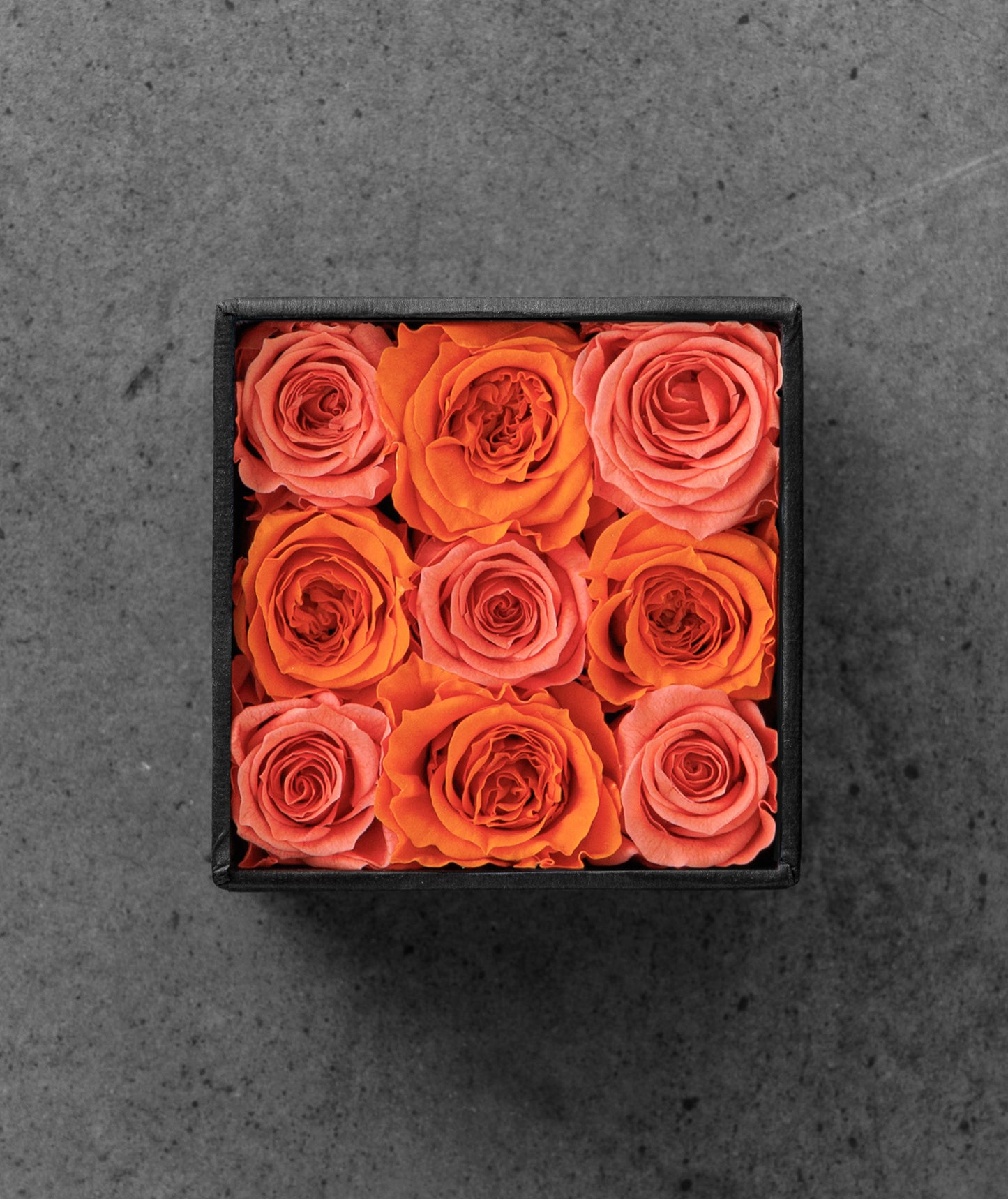 Orange Rose mix