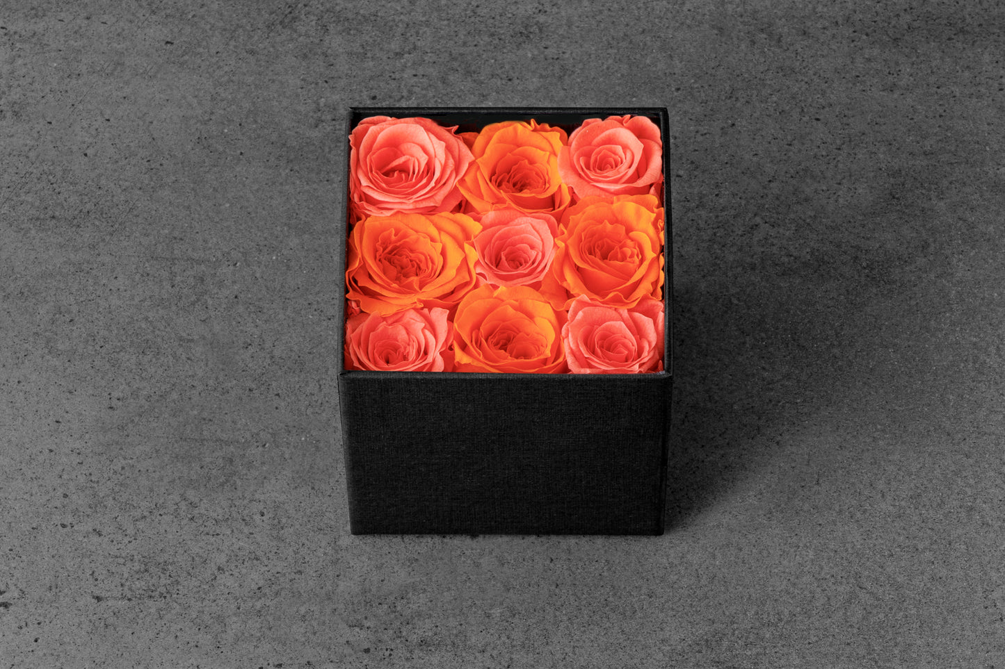 Orange Rose mix