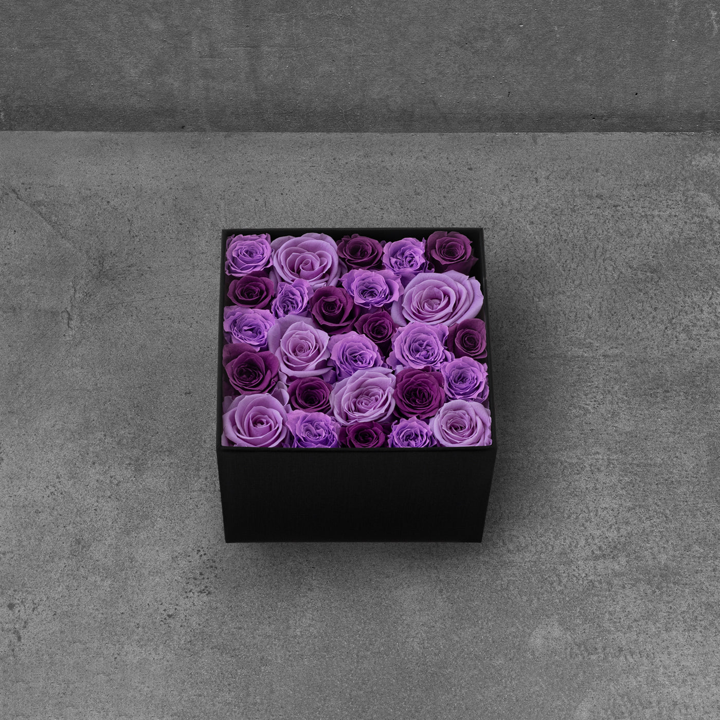 Purple Rose Mix