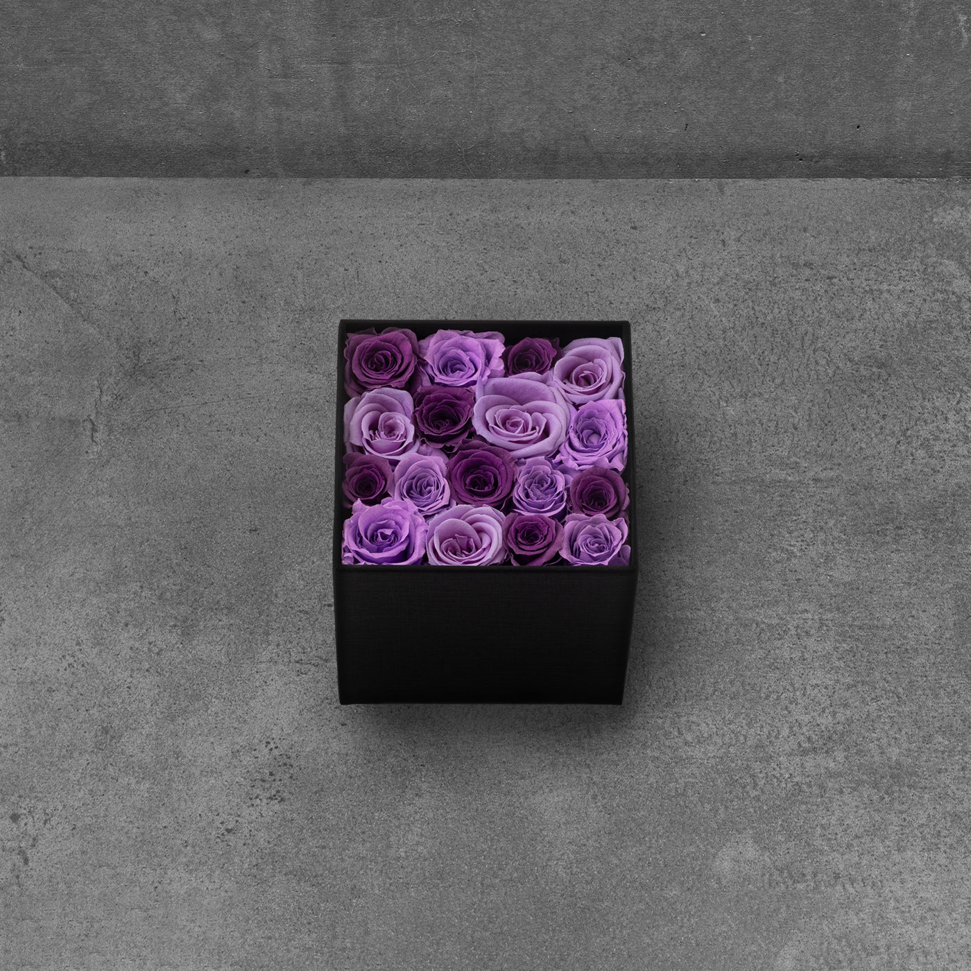 Purple Rose Mix