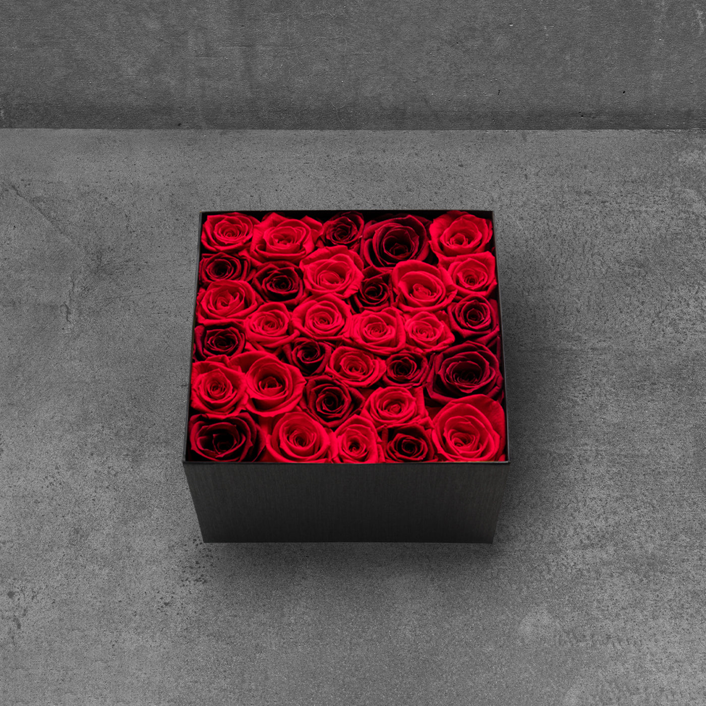 Red Rose Deluxe