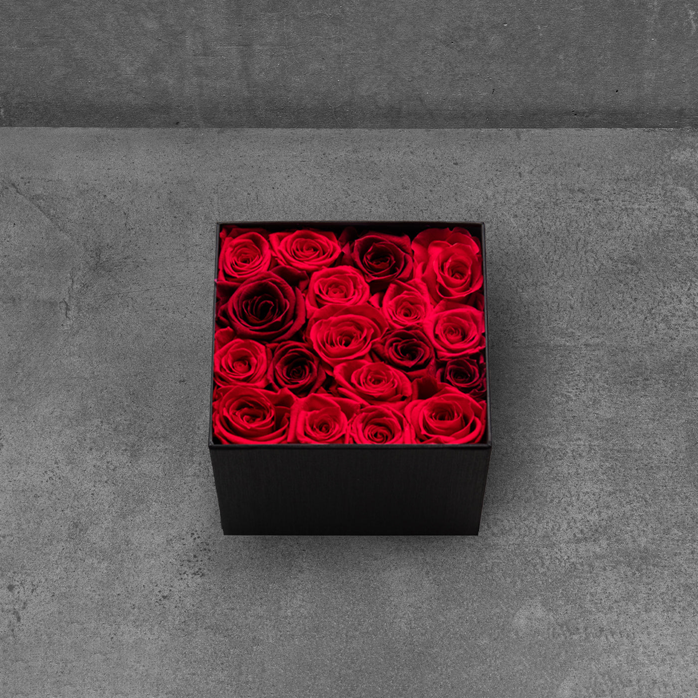 Red Rose Deluxe