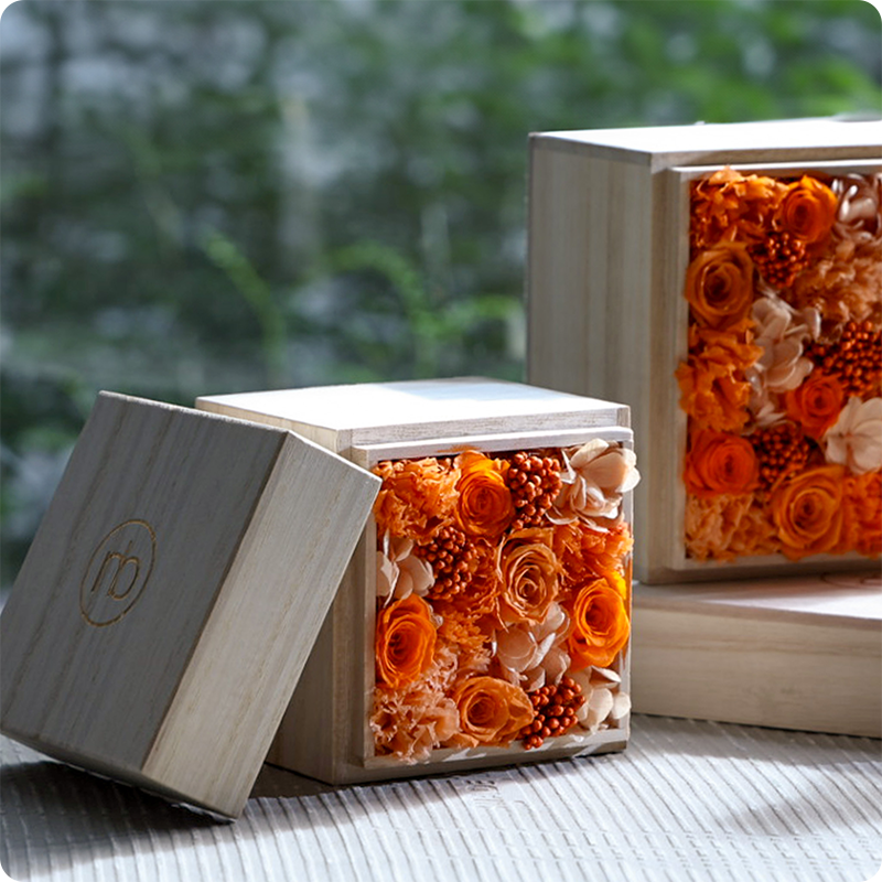 Ki-ri-ba-ko (orange)