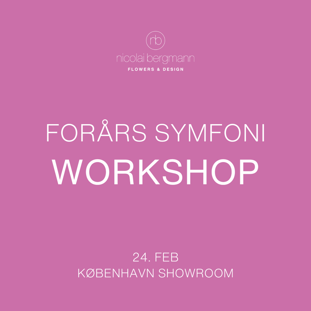 Forårs Symfoni Workshop (24. Feb)