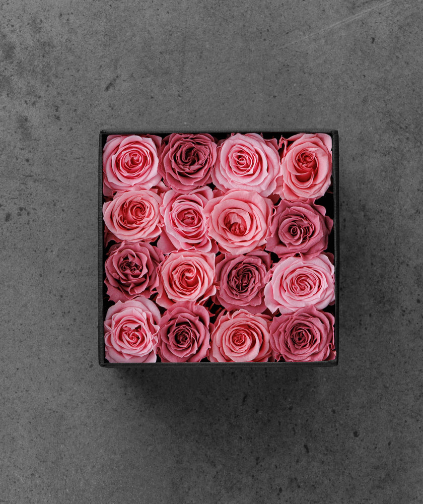 
                  
                    Lyserød Rose mix
                  
                