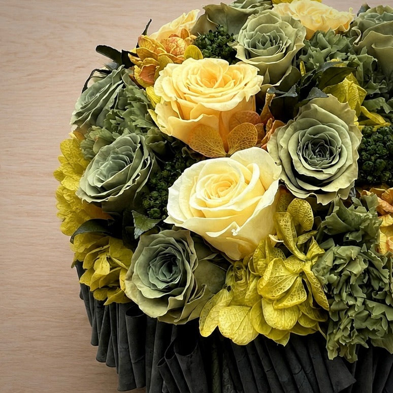 
                  
                    Unika Yellow
                  
                