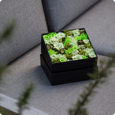 Midori
