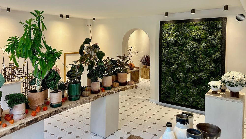 Nicolai Bergmann - Flowers & Design