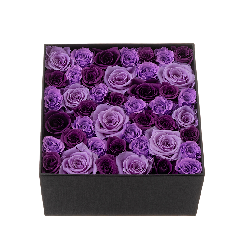 
                  
                    Purple Rose Mix
                  
                