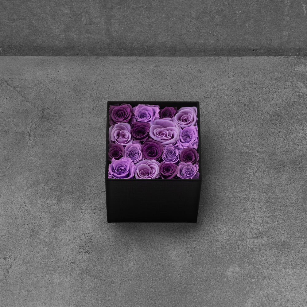 
                  
                    Purple Rose Mix
                  
                
