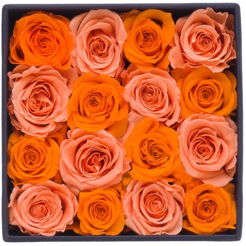
                  
                    Decor Orange Rose Mix
                  
                