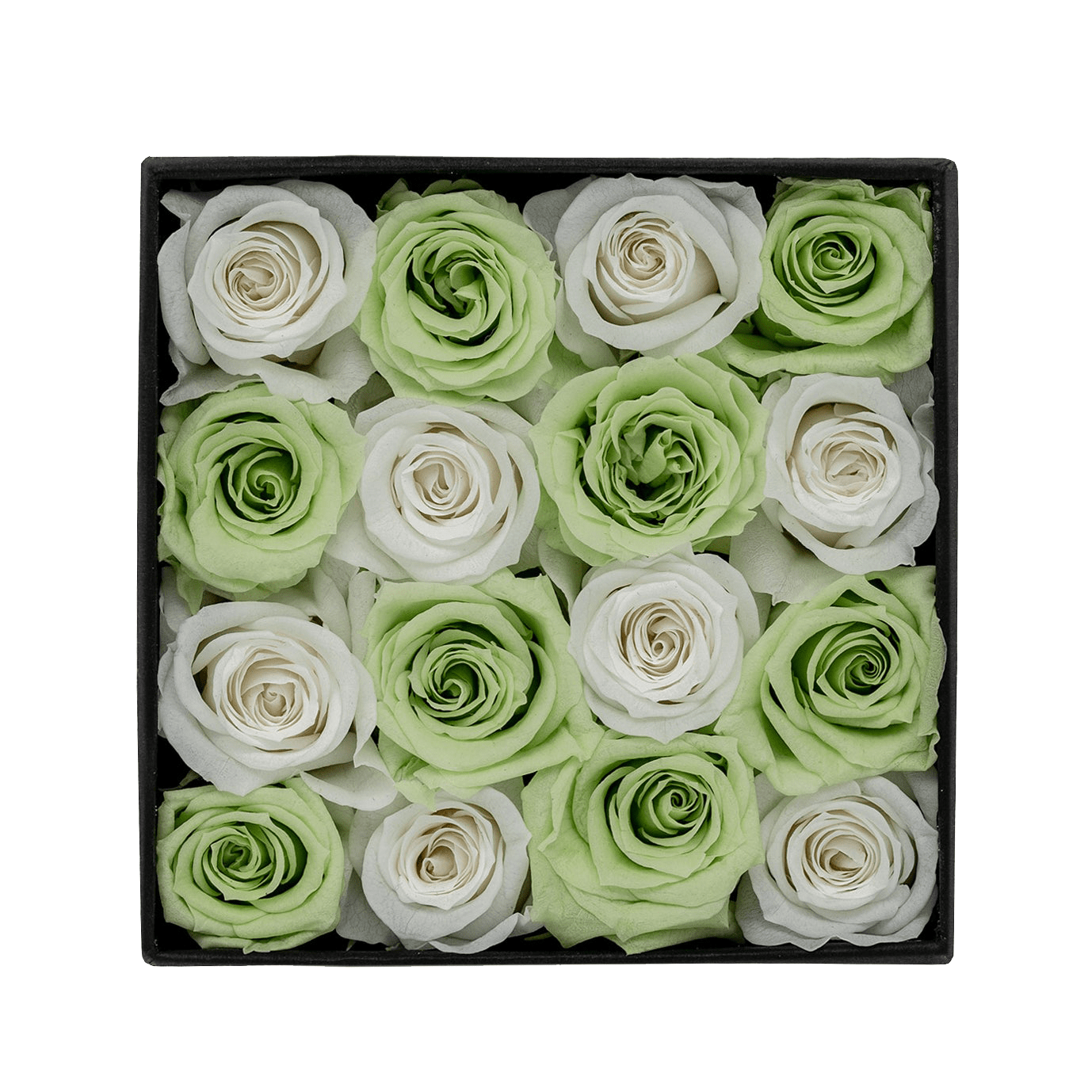 
                  
                    Decor White Green Rose Mix
                  
                